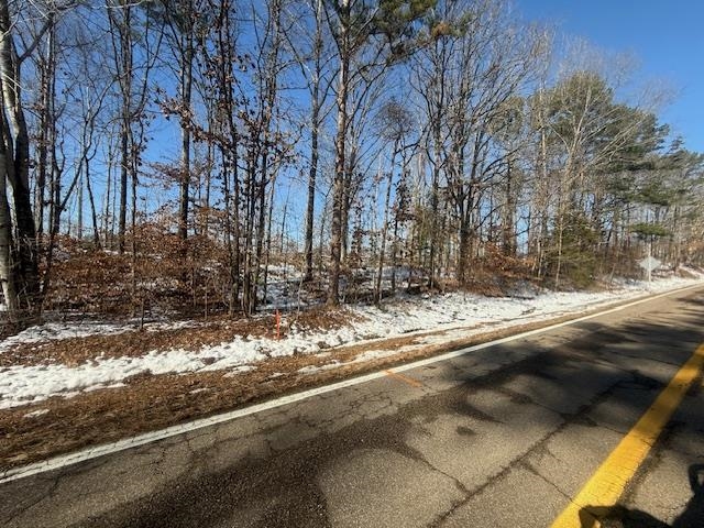 5 State Route 225 Road Henderson, TN 38340 - Photo 1 of 12 View of road