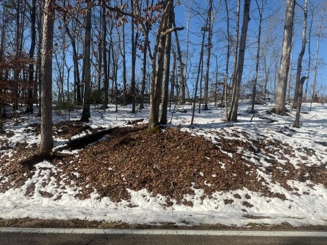 5 State Route 225 Road Henderson, TN 38340 - Photo 11 of 12 View of yard layered in snow