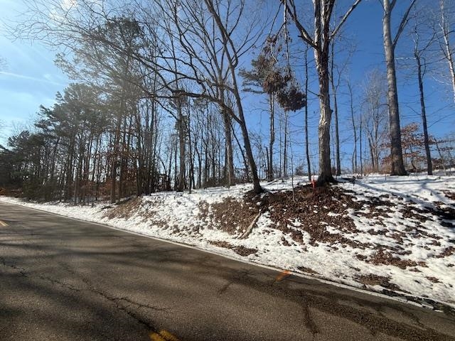 5 State Route 225 Road Henderson, TN 38340 - Photo 12 of 12 View of road