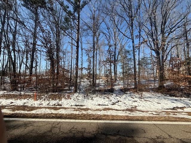 5 State Route 225 Road Henderson, TN 38340 - Photo 3 of 12 View of street