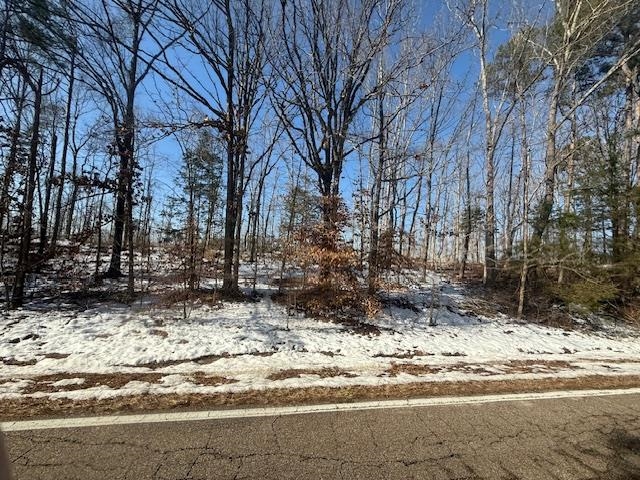 5 State Route 225 Road Henderson, TN 38340 - Photo 4 of 12 View of yard layered in snow