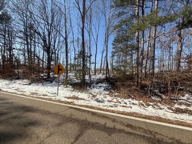 5 State Route 225 Road Henderson, TN 38340 - Photo 5 of 12 View of road