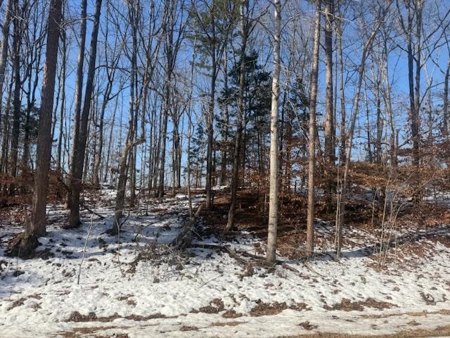5 State Route 225 Road Henderson, TN 38340 - Photo 7 of 12 View of snowy view