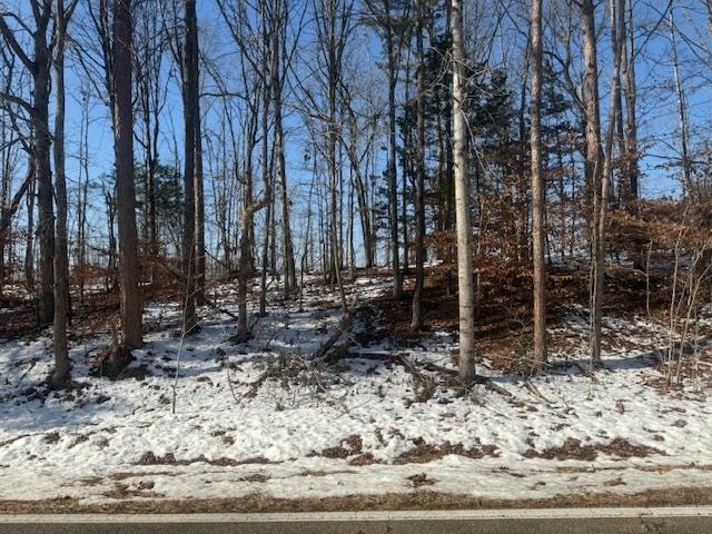 5 State Route 225 Road Henderson, TN 38340 - Photo 8 of 12 View of snowy view