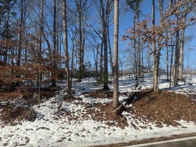 5 State Route 225 Road Henderson, TN 38340 - Photo 9 of 12 View of yard covered in snow