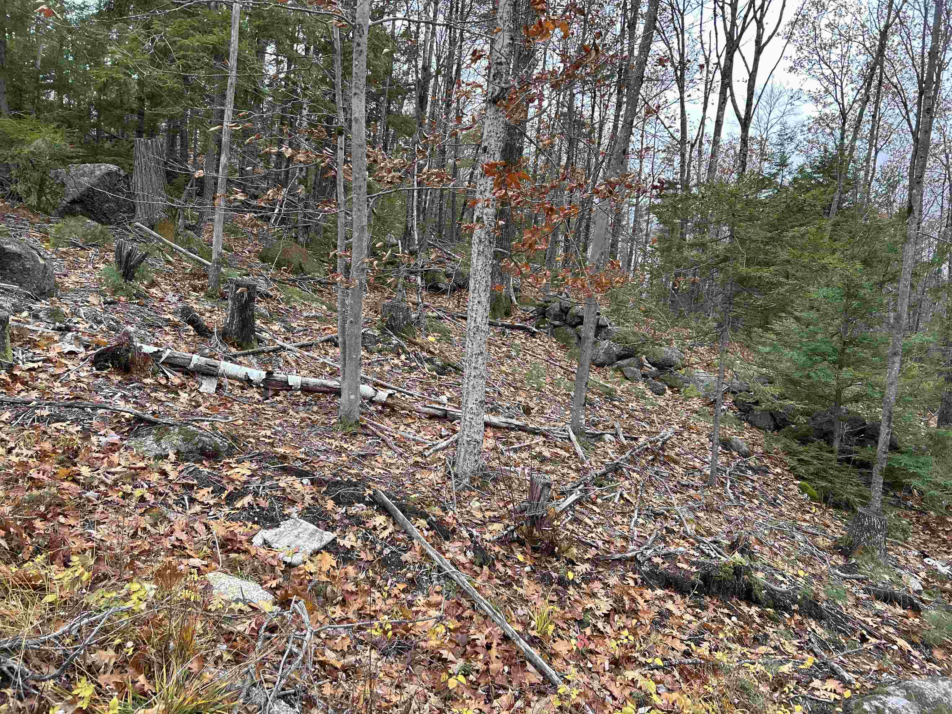 0 Pound Road North North Sutton, NH 03260 - Photo 41 of 51