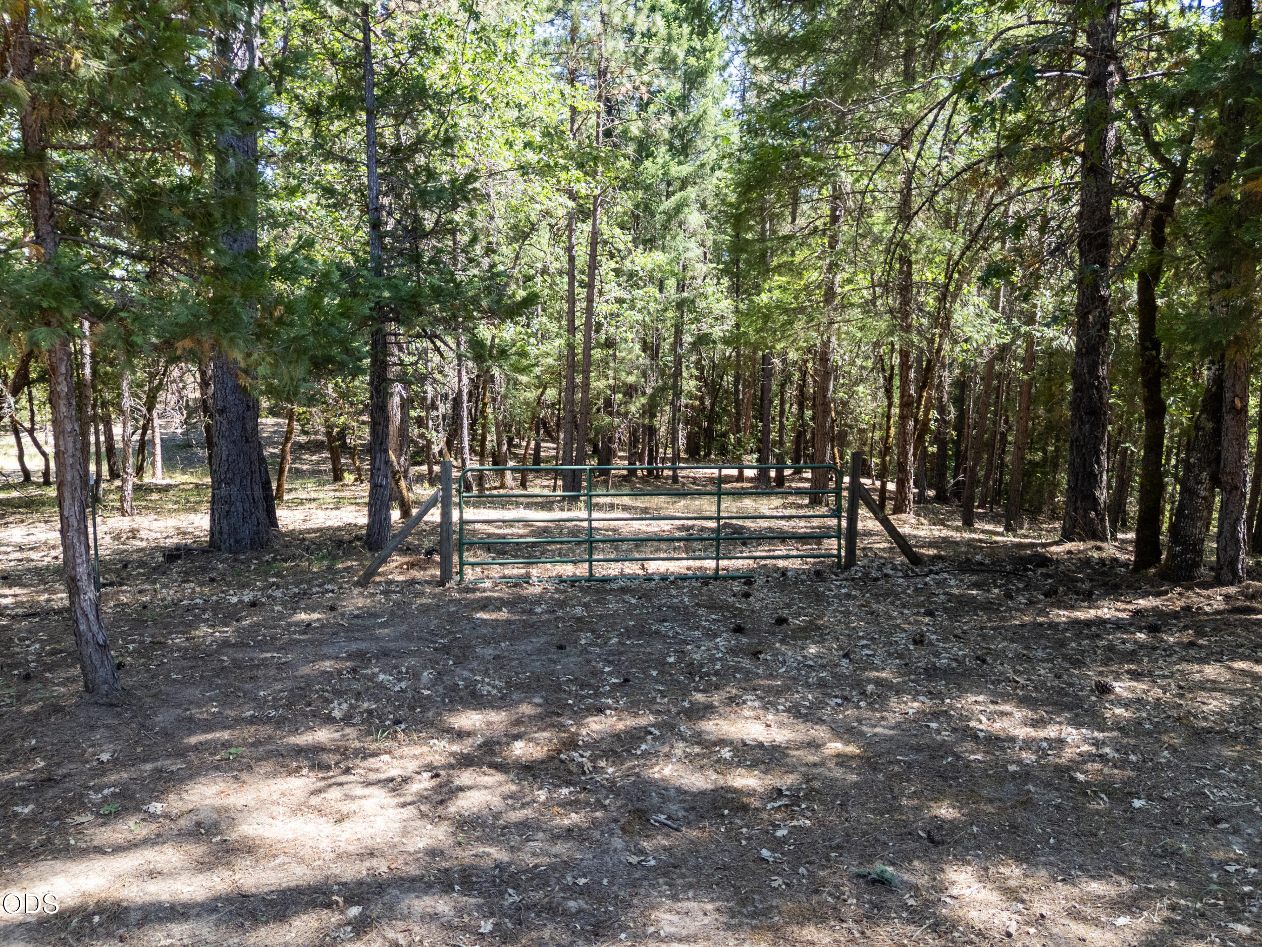 1281 North Pinnon Road Grants Pass, OR 97526 - Photo 42 of 55
