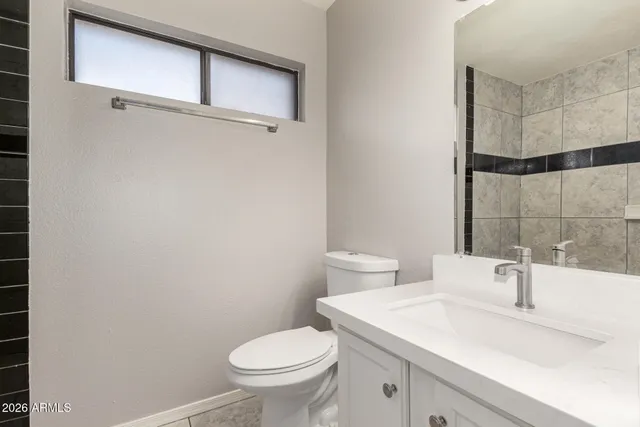 a bathroom with a sink and a toilet