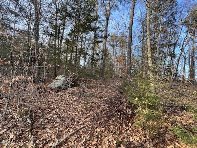 89 E Road Orange, MA 01364 - Photo 4 of 6 Gallery Image 4