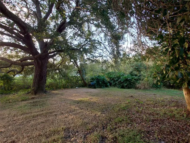 a view of a backyard with large trees