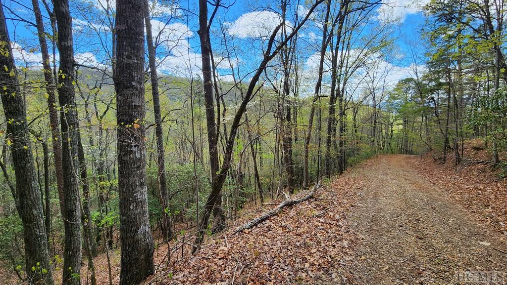 0 Pineview Road Franklin, NC 28734 - Photo 7 of 15 Gallery Image 7