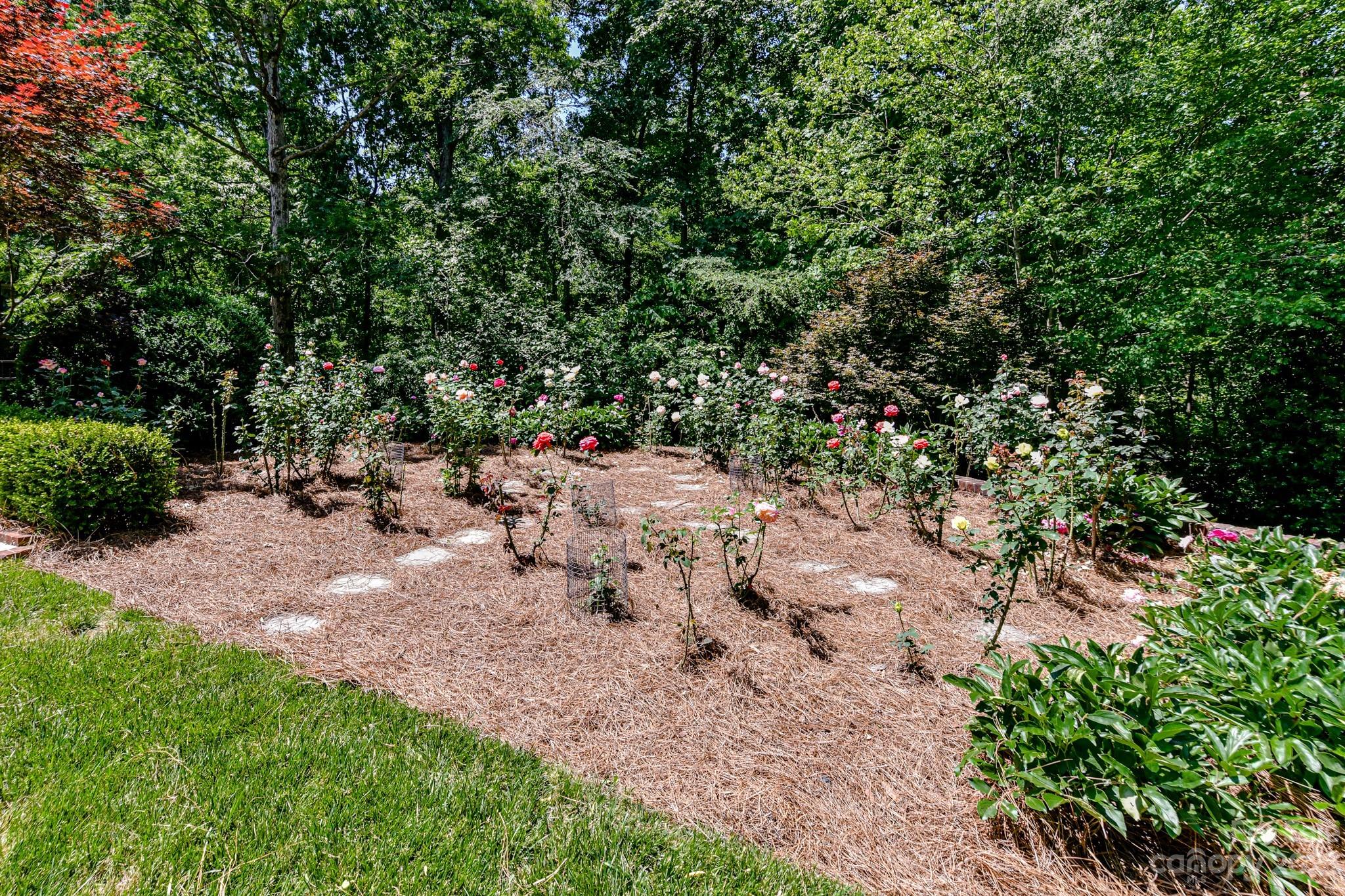 1900 Cortelyou Road Charlotte, NC 28211 - Photo 47 of 48 Gallery Image 47