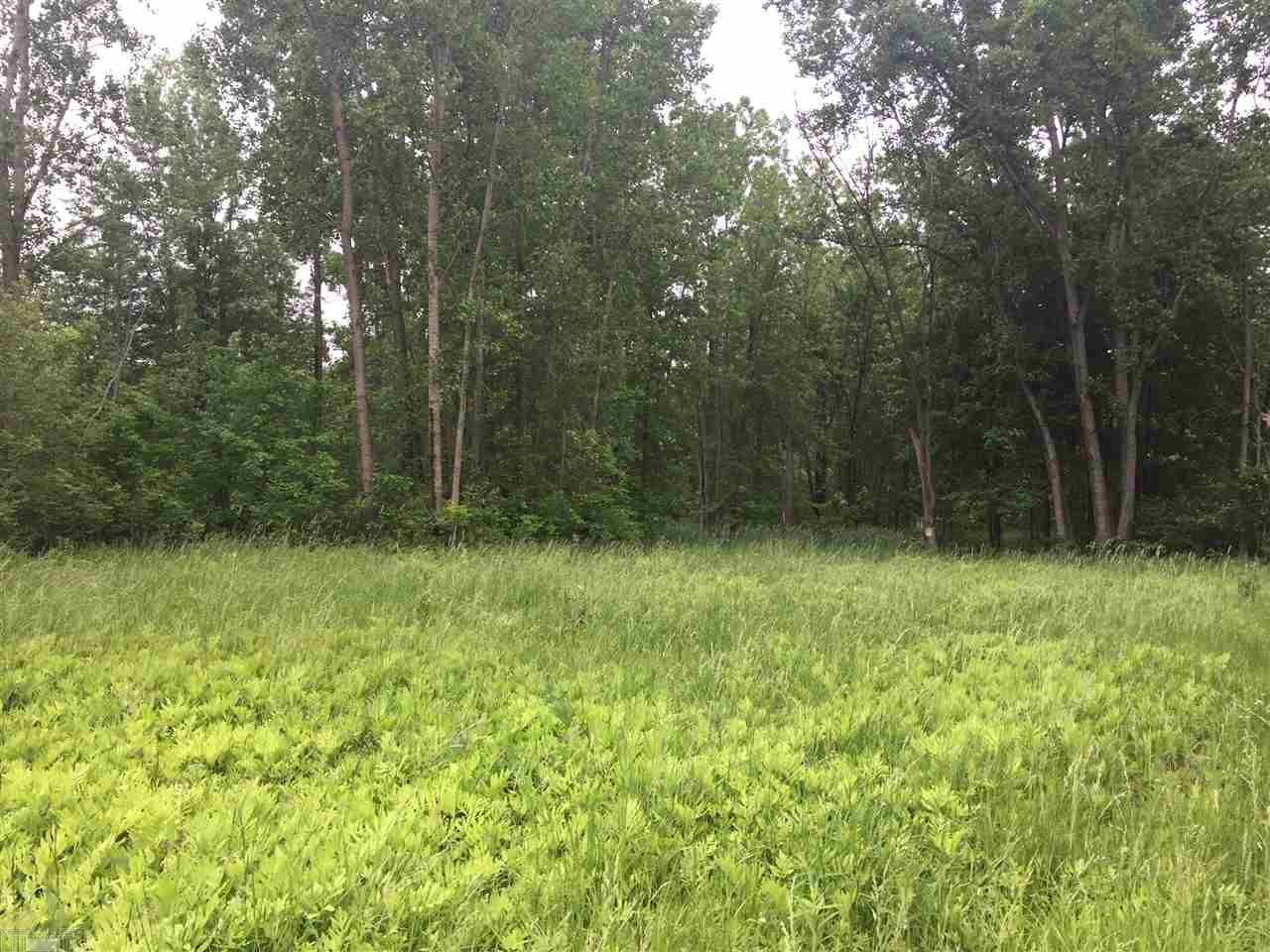 0 Hagen Road Macomb, MI 48042 - Photo 1 of 2