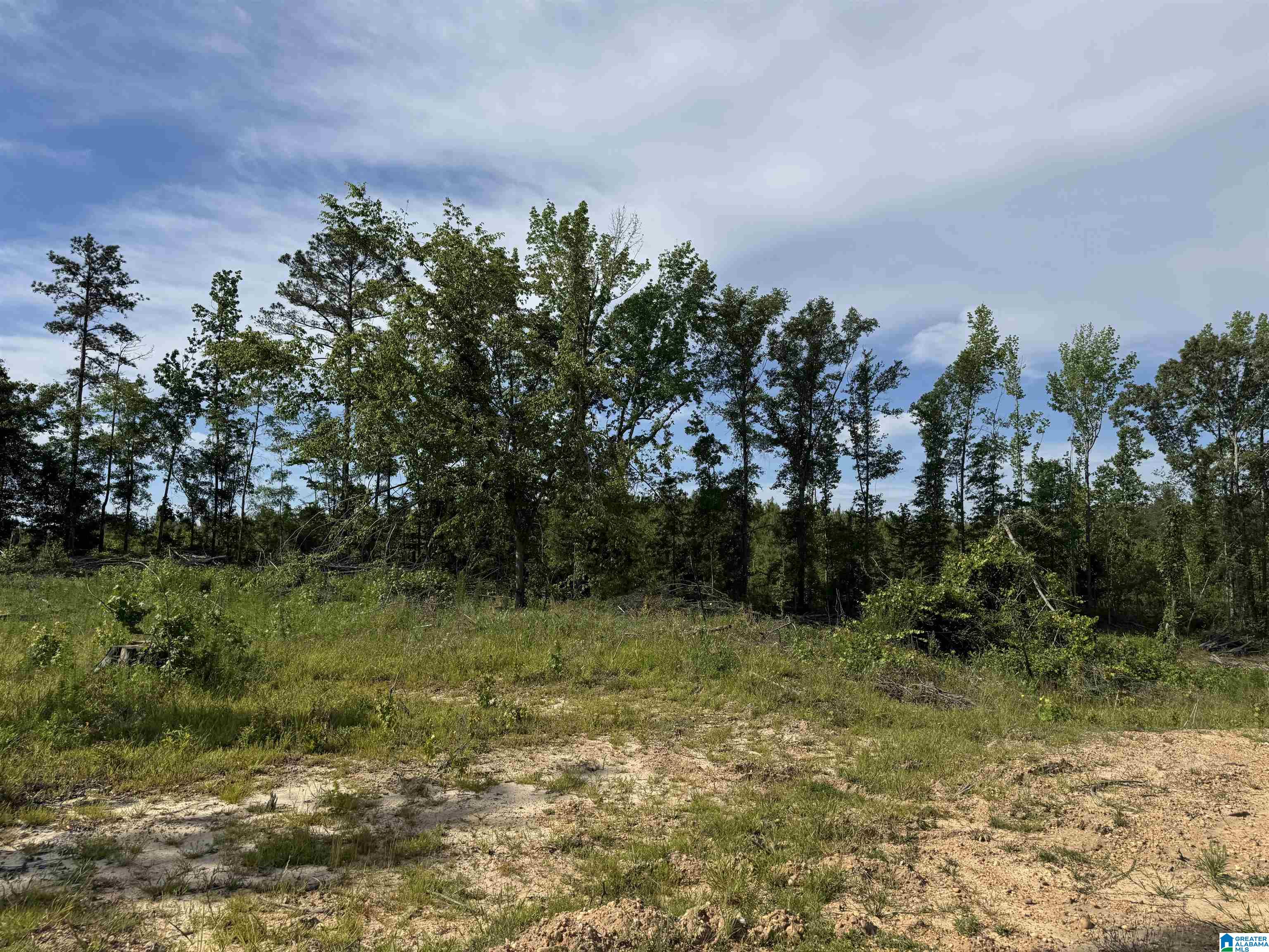 Active Road, Unit 5 Lawley, AL 36793 - Photo 33 of 38