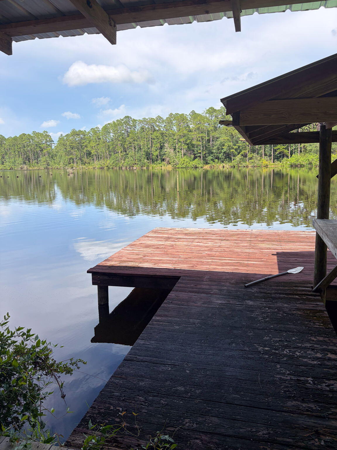82 Acres 4 Flags Road Laurel Hill, FL 32567 - Photo 4 of 45 30-web-or-mls-IMG_1826