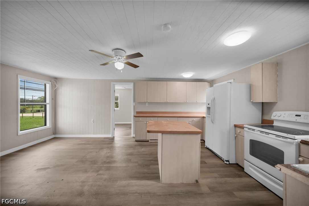 2950 Packinghouse Road Alva, FL 33920 - Photo 10 of 46 Gallery Image 10