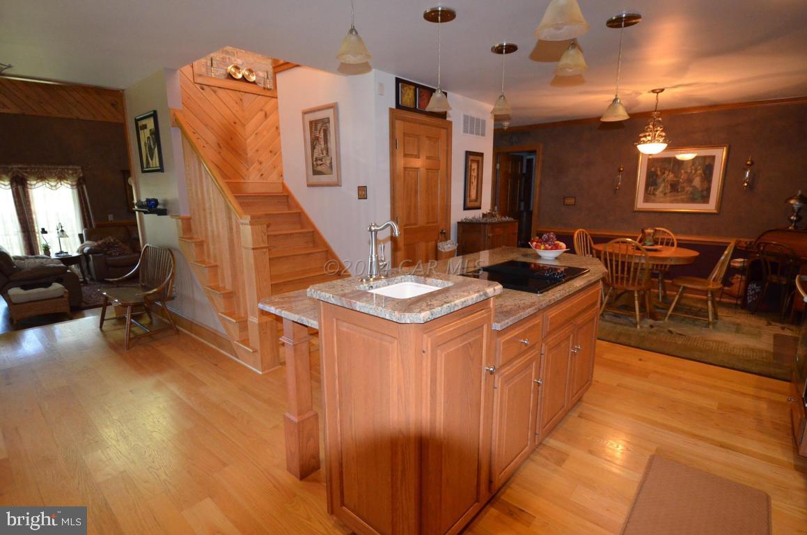 309 Silva Road Stockton, MD 21864 - Photo 24 of 67