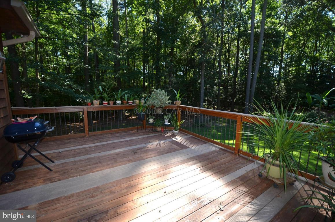 309 Silva Road Stockton, MD 21864 - Photo 31 of 67 a view of deck with seating and trees
