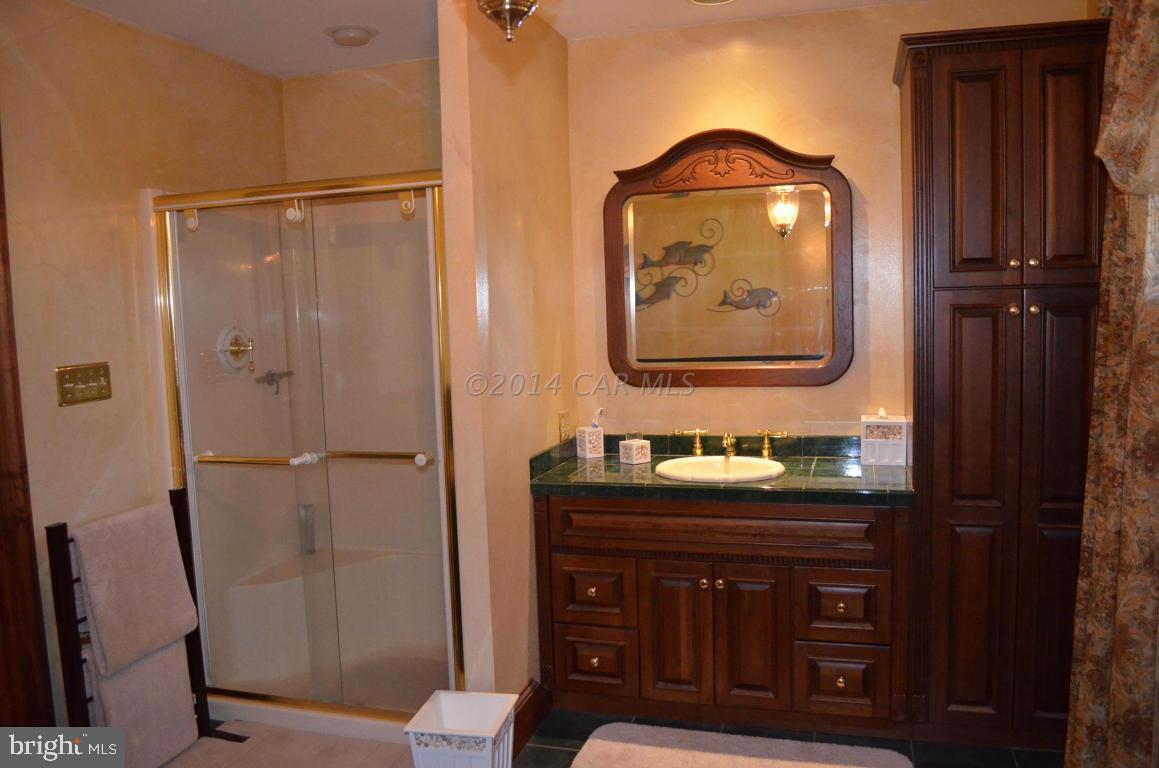 309 Silva Road Stockton, MD 21864 - Photo 33 of 67 a bathroom with a sink vanity and a mirror