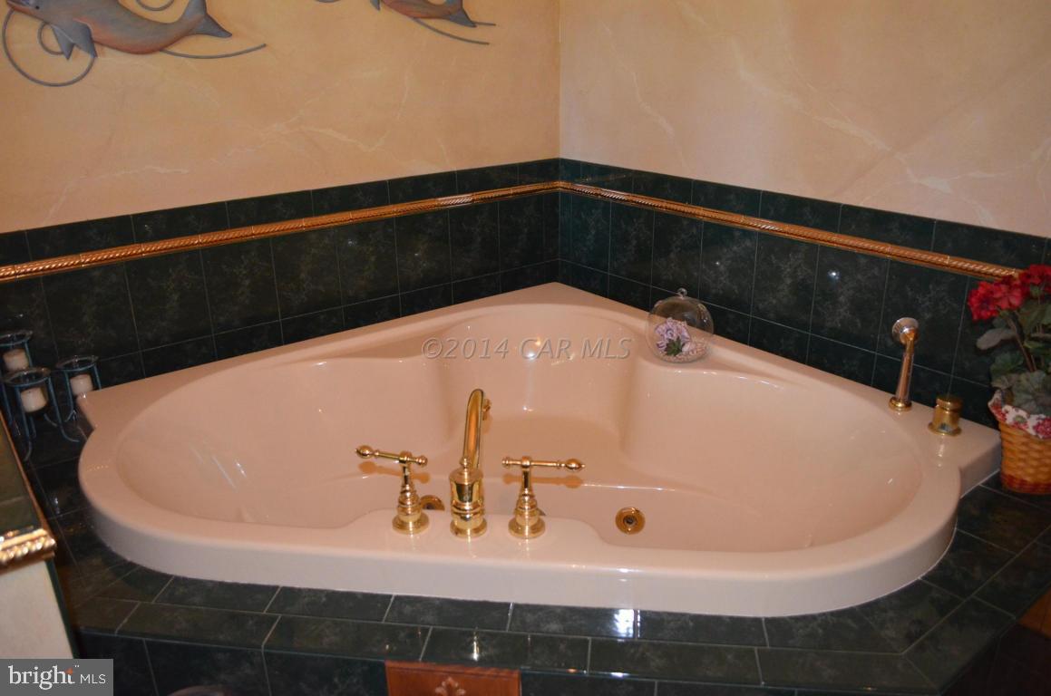 309 Silva Road Stockton, MD 21864 - Photo 34 of 67