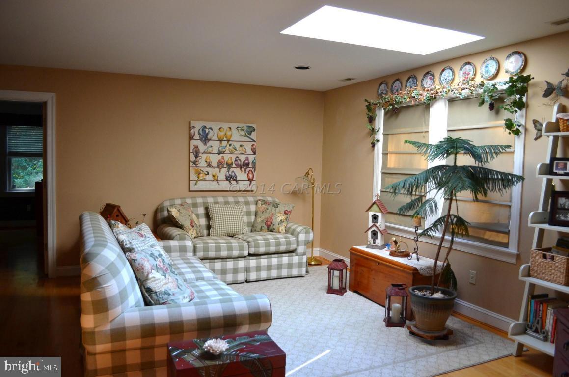 309 Silva Road Stockton, MD 21864 - Photo 37 of 67 a living room with furniture and a potted plant