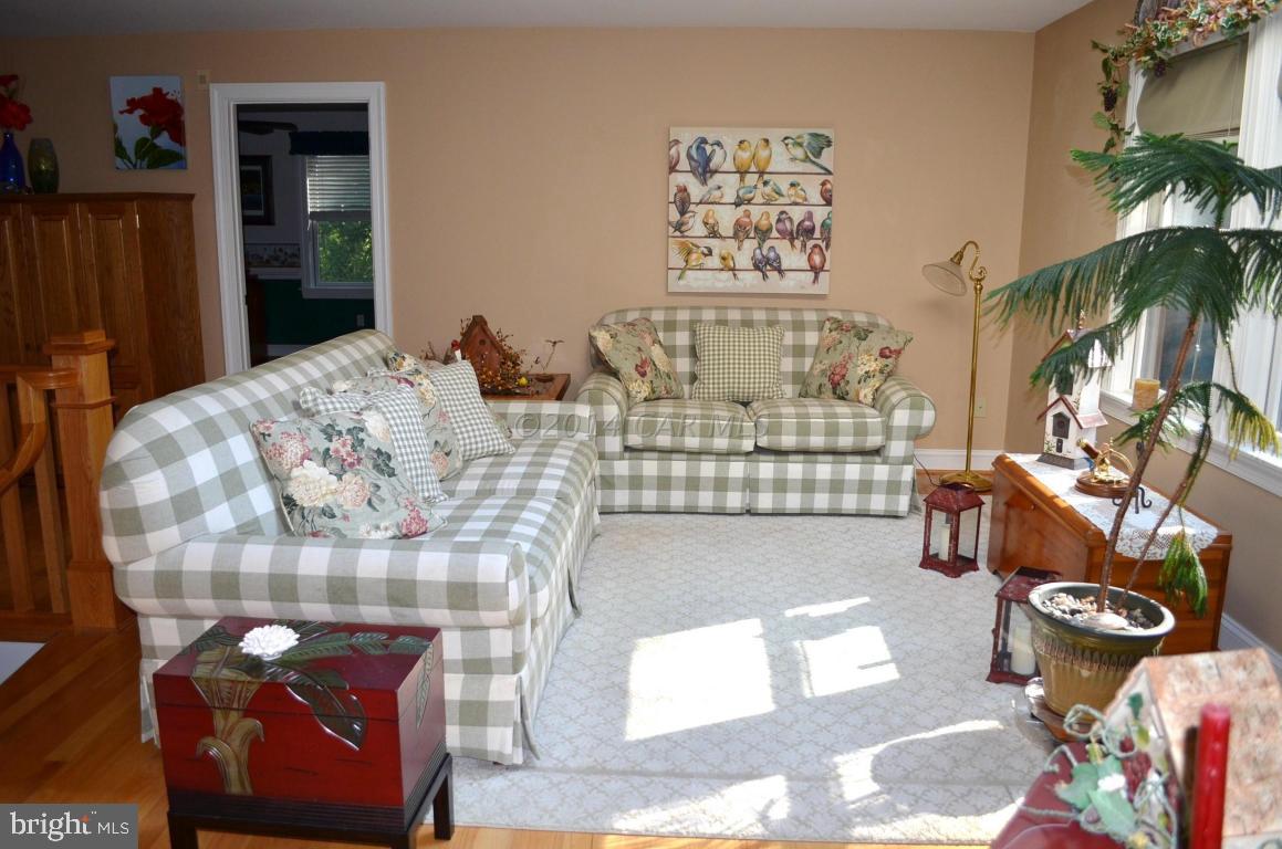309 Silva Road Stockton, MD 21864 - Photo 38 of 67