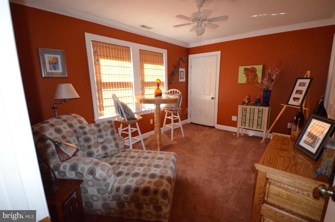 309 Silva Road Stockton, MD 21864 - Photo 45 of 67 a living room with furniture and a flat screen tv
