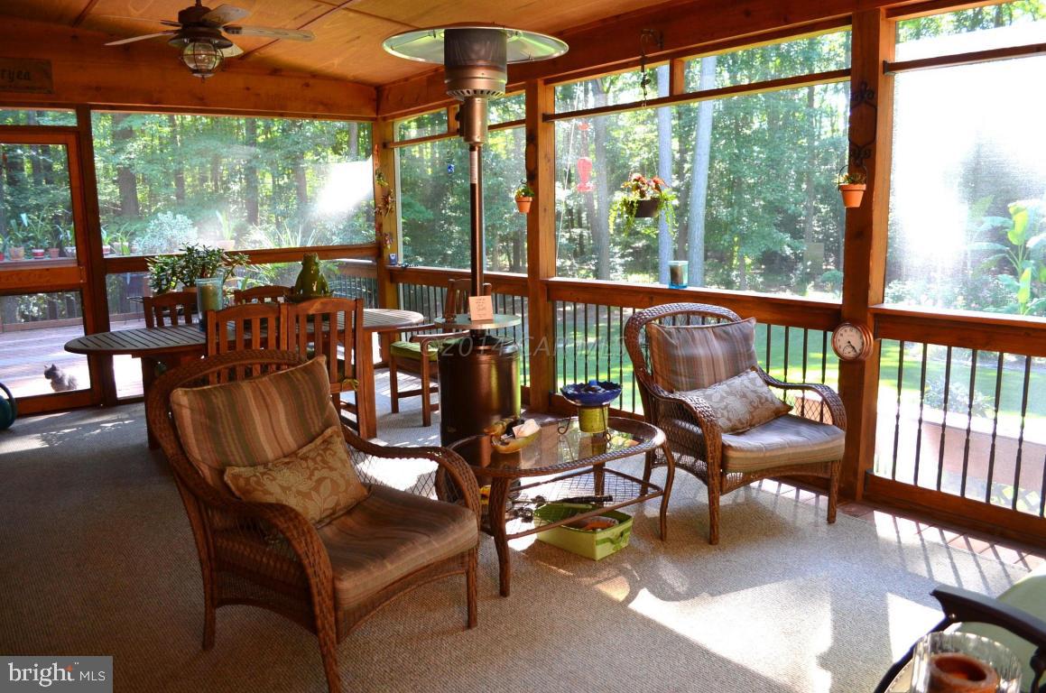 309 Silva Road Stockton, MD 21864 - Photo 47 of 67 a living room with furniture and floor to ceiling windows