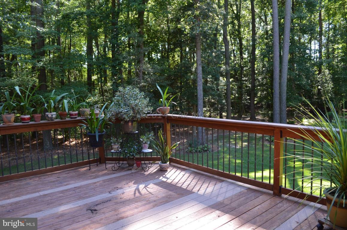 309 Silva Road Stockton, MD 21864 - Photo 51 of 67 a view of a wooden deck next to a yard