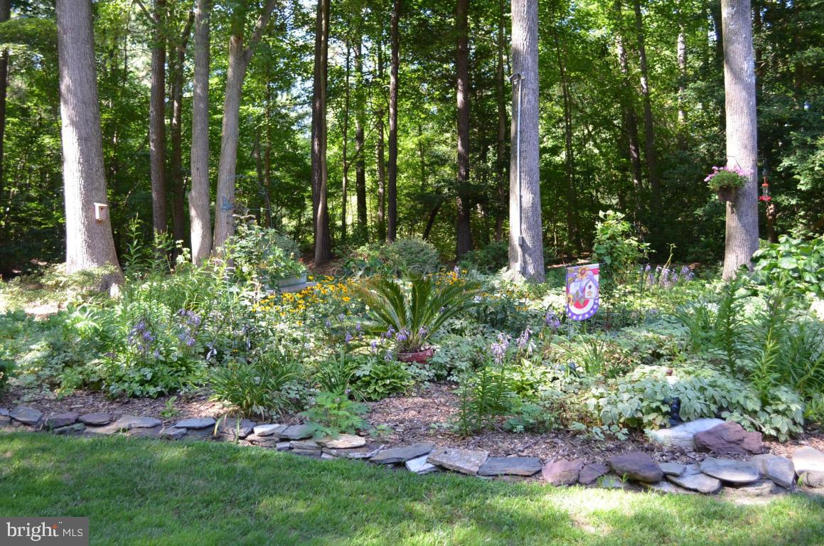 309 Silva Road Stockton, MD 21864 - Photo 56 of 67 a backyard of a house with lots of green space and fountain