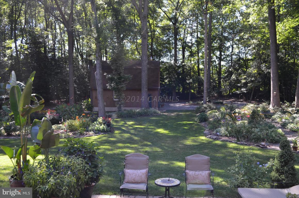 309 Silva Road Stockton, MD 21864 - Photo 60 of 67 a backyard of a house with lots of green space