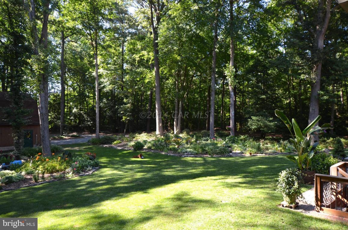 309 Silva Road Stockton, MD 21864 - Photo 62 of 67