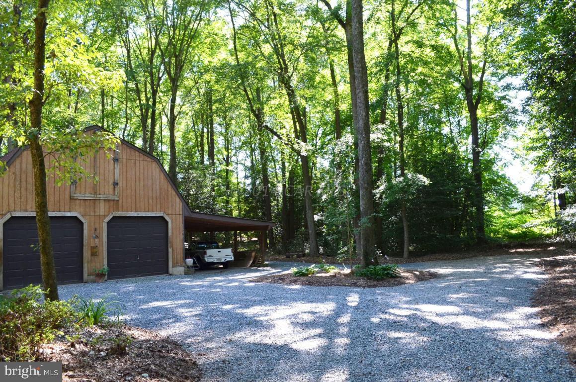 309 Silva Road Stockton, MD 21864 - Photo 64 of 67 a view of a house with backyard and a tree