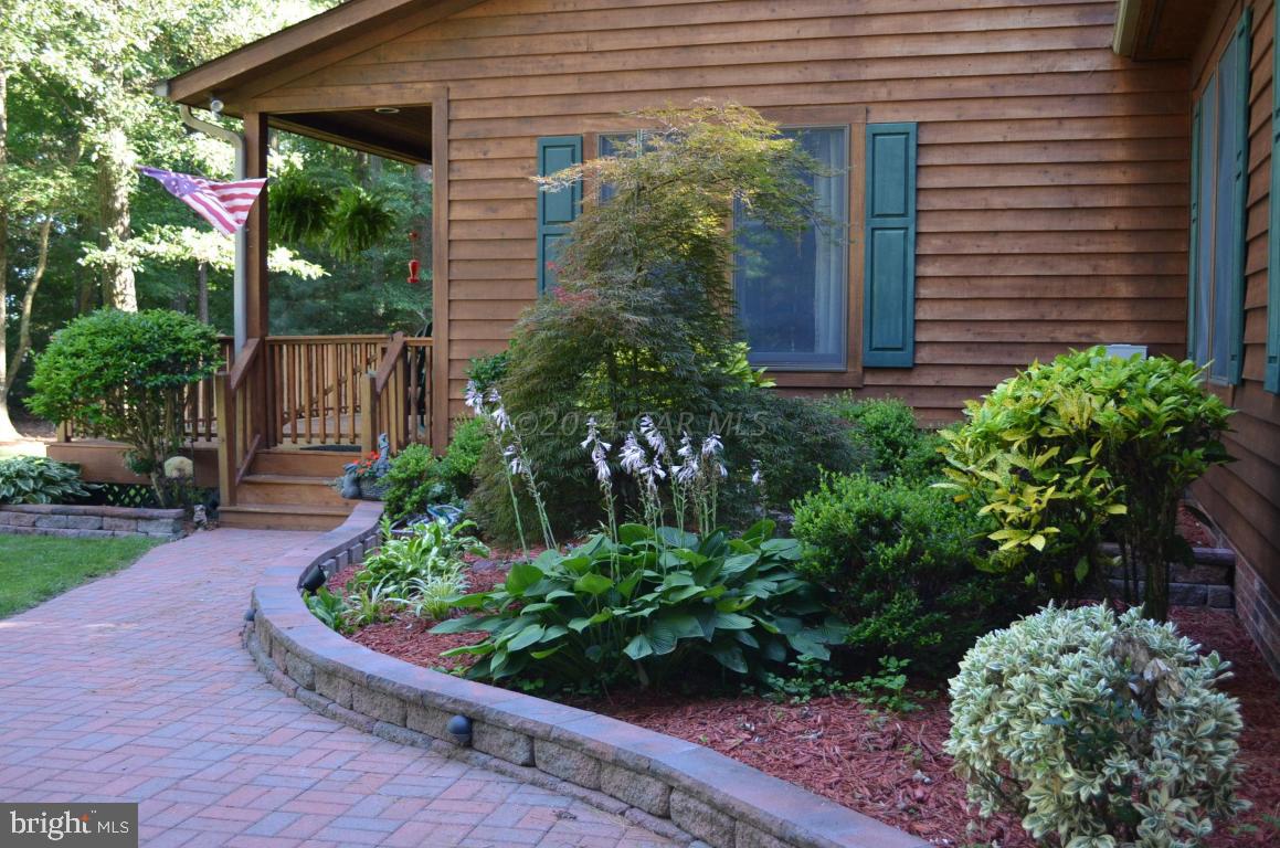 309 Silva Road Stockton, MD 21864 - Photo 8 of 67 a view of a backyard with plants