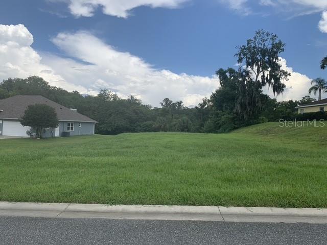 Tbd Southwest 9th Avenue Ocala, FL 34471 - Photo 5 of 9 a view of a garden