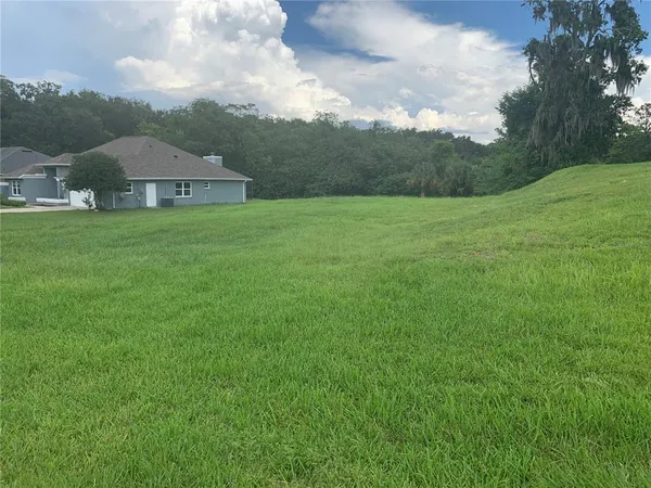 a view of a big yard with houses