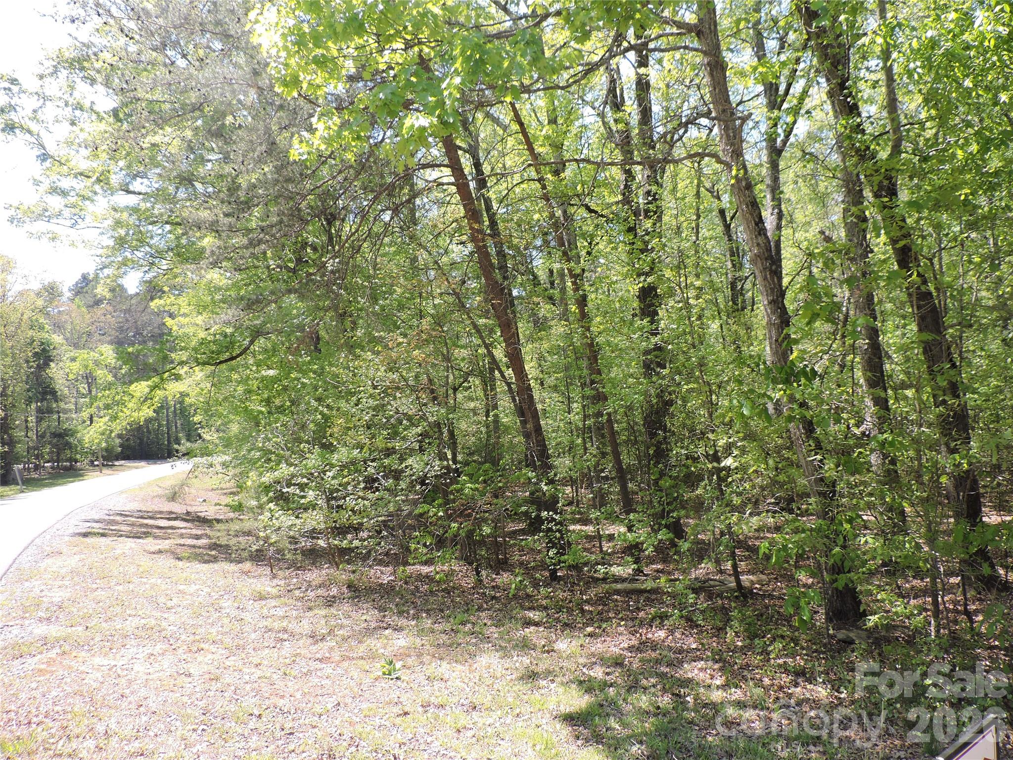 293 Manchester Road Mount Gilead, NC 27306 - Photo 3 of 18 a view of a yard with plants and trees