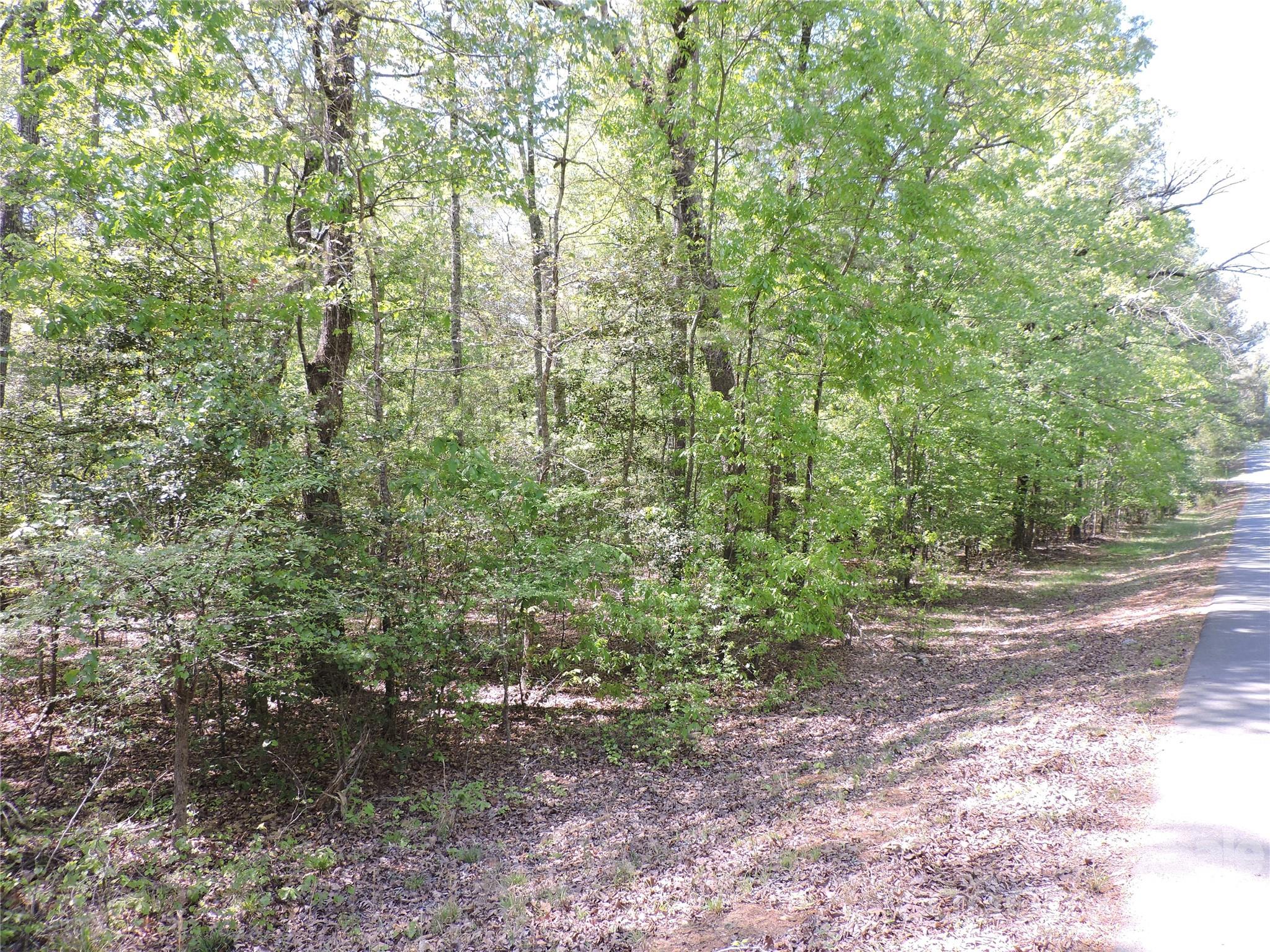 293 Manchester Road Mount Gilead, NC 27306 - Photo 5 of 18 a view of a forest that has large trees