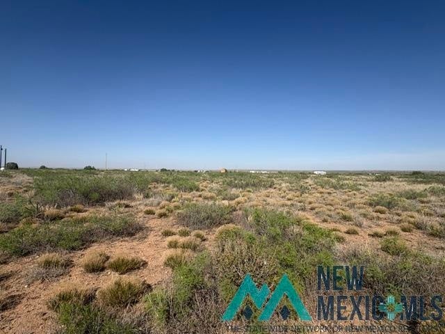 48 State Road 203 Fort Sumner, NM 88119 - Photo 9 of 17 Gallery Image 9