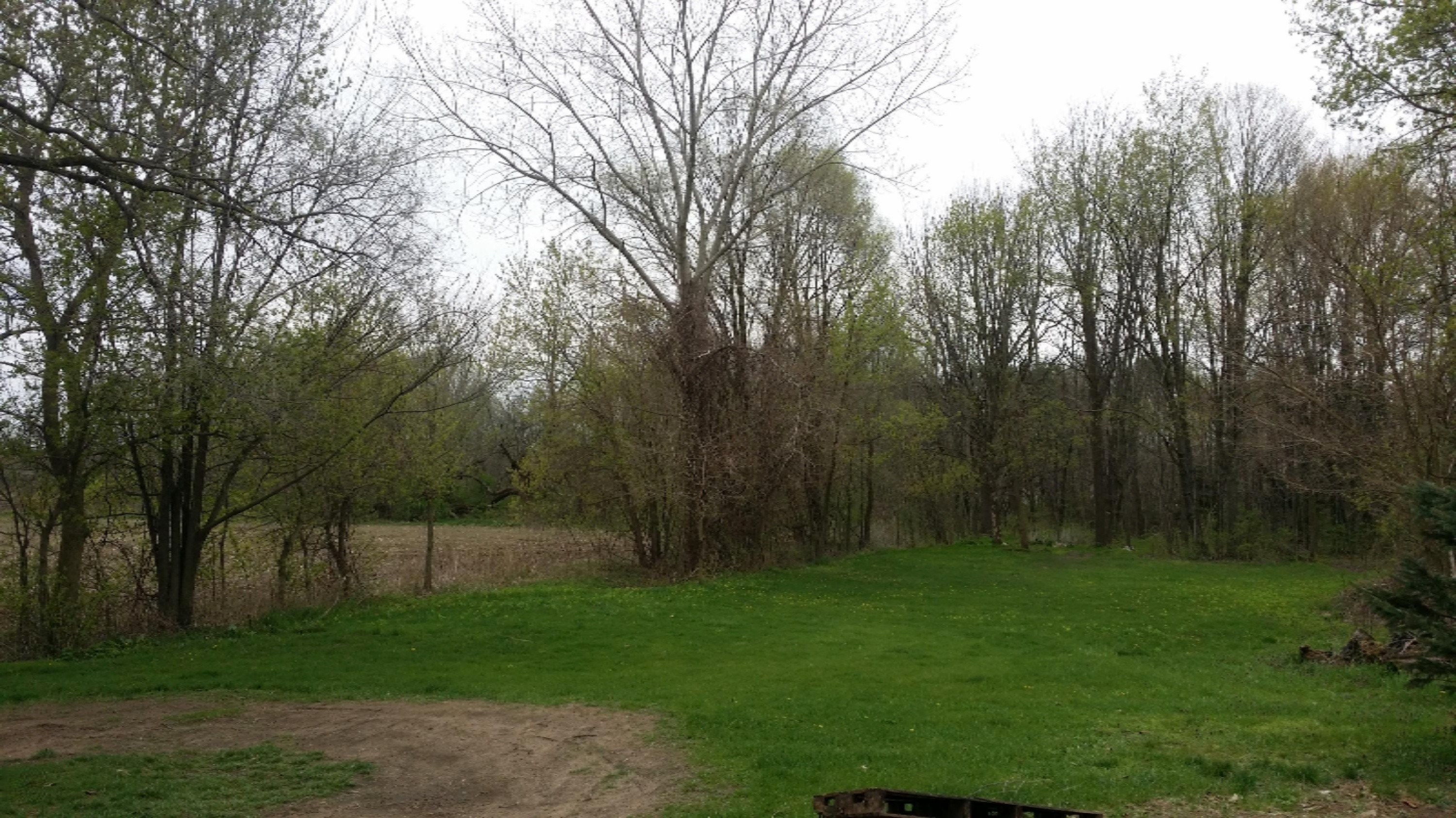 12619 Harrisburg Road Ravenna, MI 49451 - Photo 18 of 19 20160429_183631