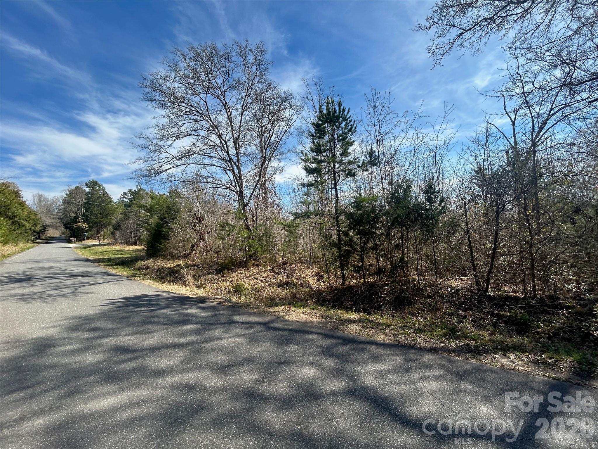 Tbd Green Pond Road Indian Land, SC 29707 - Photo 9 of 24