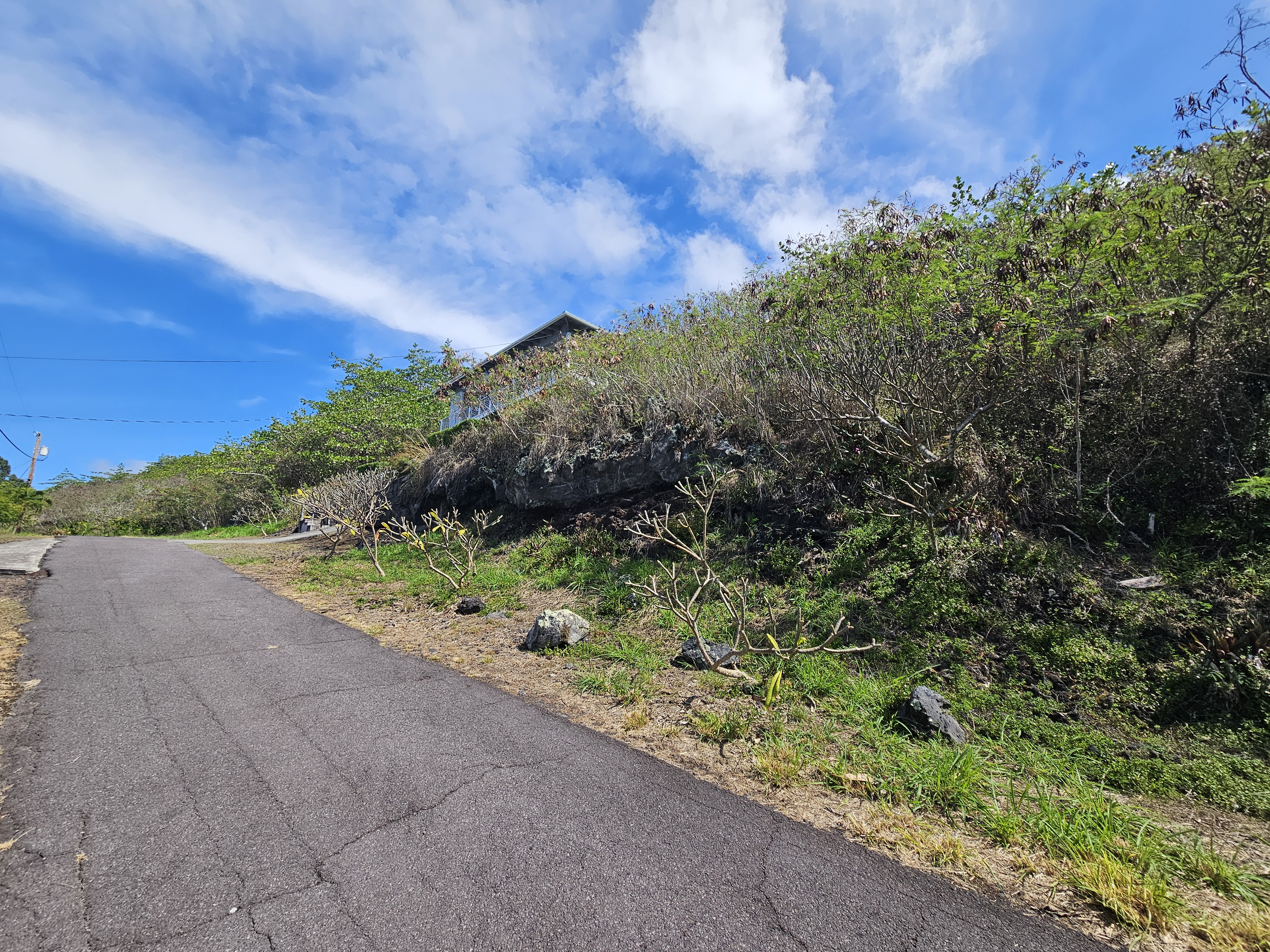 146 Fern Road Captain Cook, HI 96704 - Photo 8 of 9 a view of a garden with plants and a bench