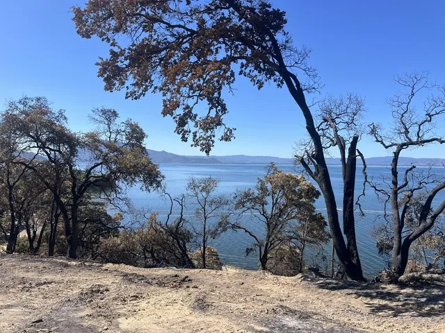 a view of outdoor space and yard