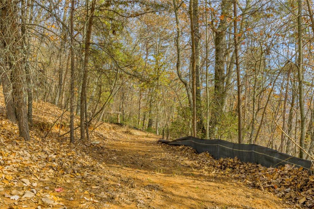 0 Eagle Ridge Trail Cleveland, GA 30528 - Photo 18 of 28