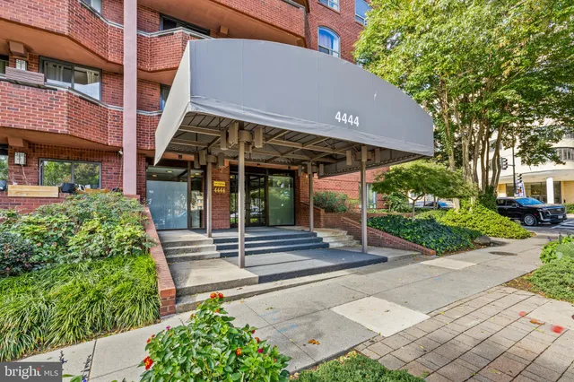 a view of a house with a garden