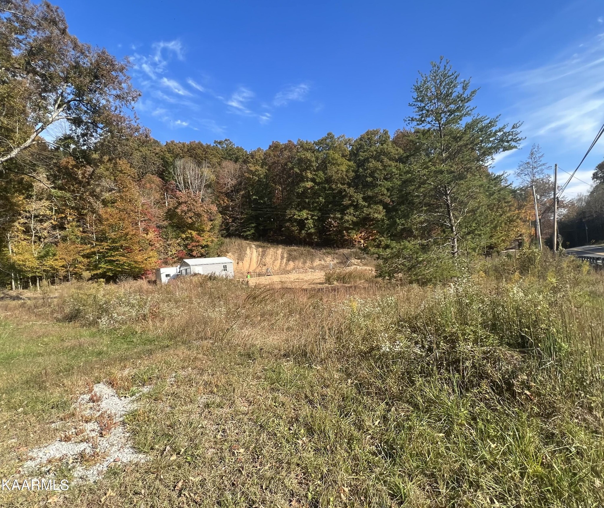 0 Bill Hamby Road Lancing, TN 37770 - Photo 3 of 6 a view of a yard with a tree