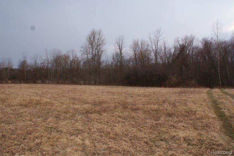 4050 South Hadley Road Metamora, MI 48455 - Photo 1 of 7 DSC09124.JPG