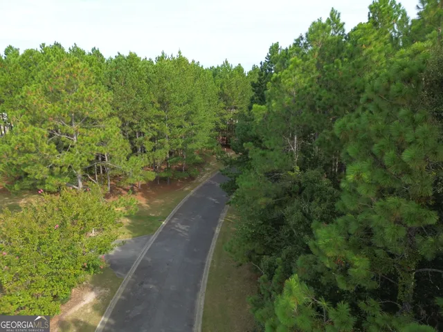 a view of a pathway both side of yard