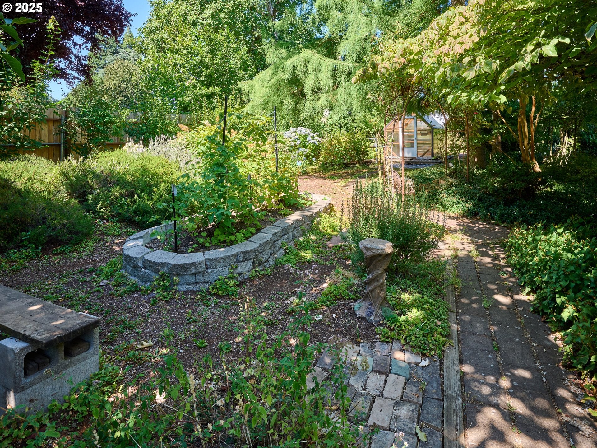 795 Corby Street Woodburn, OR 97071 - Photo 35 of 44 a view of a garden with plants and large trees