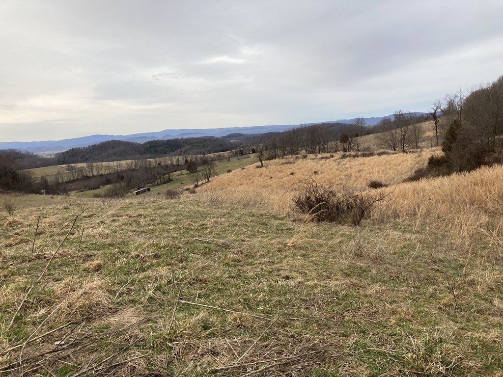 Tbd Widener Valley Road, Unit SEE REMARKS Glade Spring, VA 24340 - Photo 31 of 57 Gallery Image 31